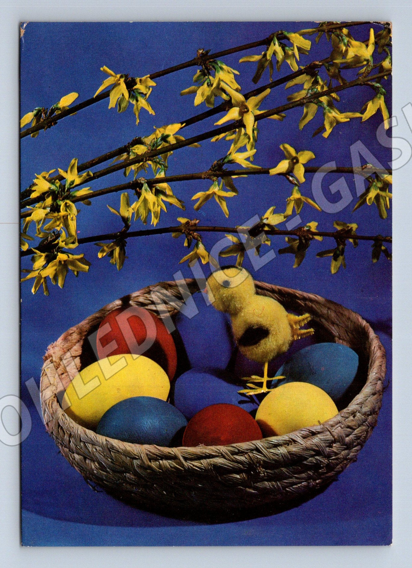 Pohlednice Velikonoční motiv kuřátko a vajíčka 1973 (M27683)