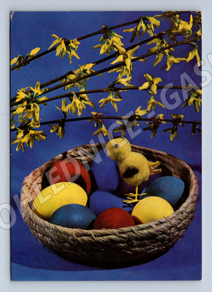 Pohlednice Velikonoční motiv kuřátko a vajíčka 1973 (M27683)
