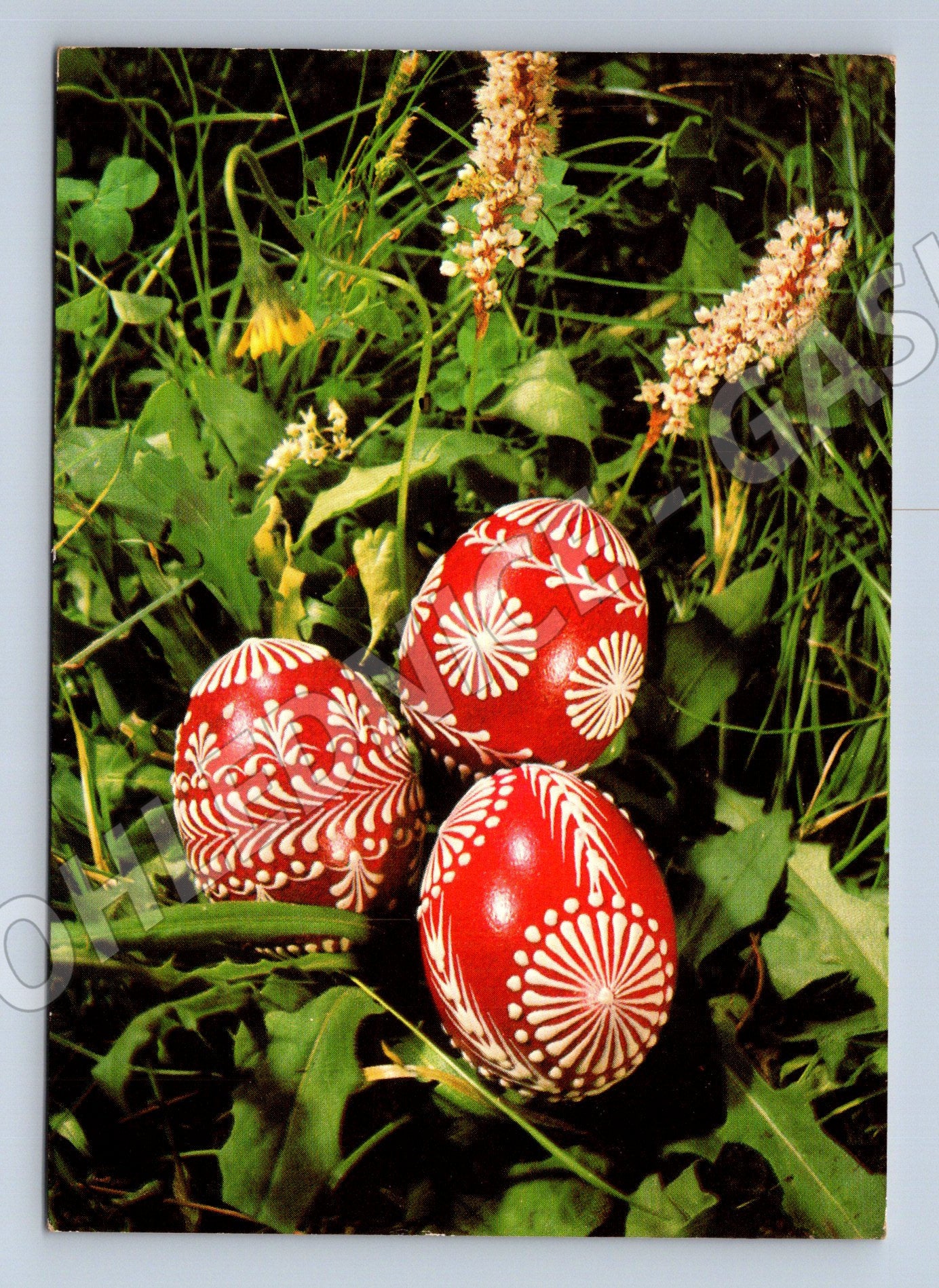 Pohlednice Velikonoční vajíčka 1980 (M27684)