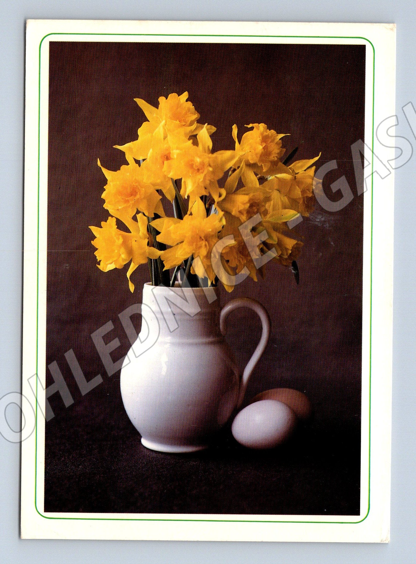 Pohlednice Velikonoční narcisy 1998 (M27697)