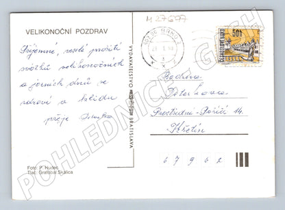 Pohlednice Velikonoční narcisy 1998 (M27697)