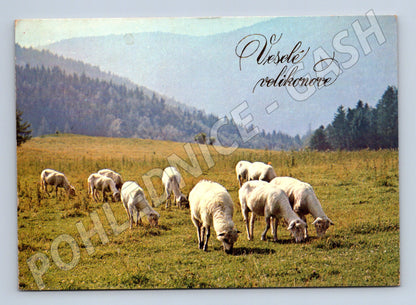 Pohlednice Velikonoční ovce v krajině 1969 (M27701)