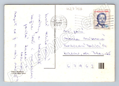 Pohlednice mládě zajíce pampelišky 1990 (M27704)