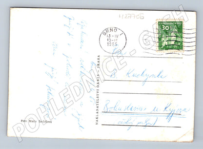 Pohlednice jarní pozdrav květiny 1965 (M27706)