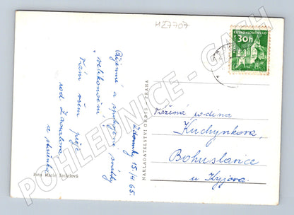 Pohlednice Jarní pozdrav květina Marie Šechtlová 1965 (M27707)