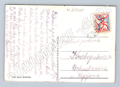 Pohlednice Jarní pozdrav květina (M27708)