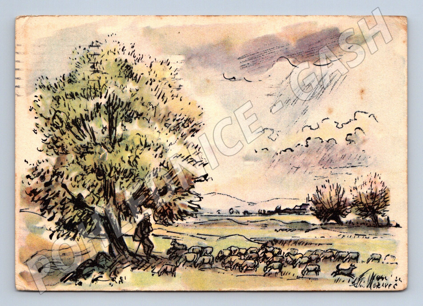 Pohlednice pastýř s ovcemi malba Alois Moravec 1947 (M27734)