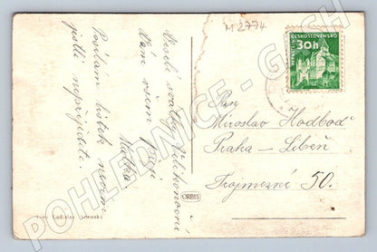 Postcard Sheep and Mountains Happy Easter (M2774)