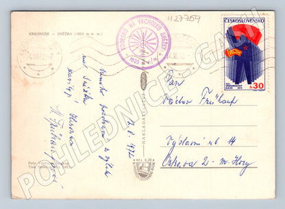 Pohlednice Krkonoše Sněžka uschlý strom 1972 (M27759)