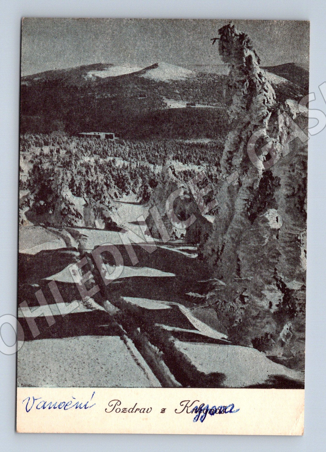 Pohlednice Vánoční pozdrav Krkonoše 1949 (M27770)