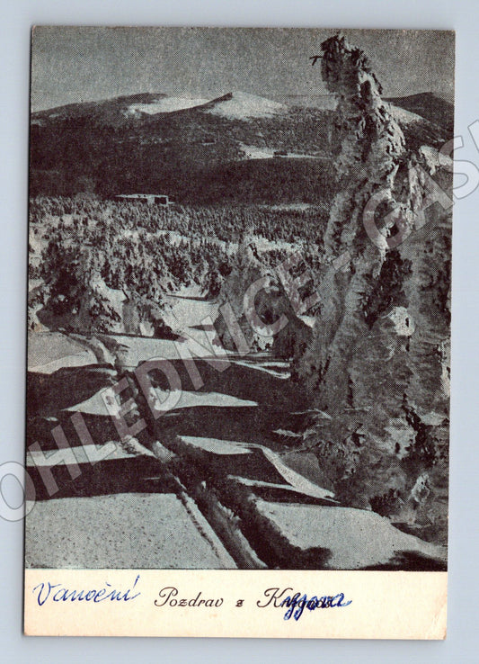 Pohlednice Vánoční pozdrav Krkonoše 1949 (M27770)