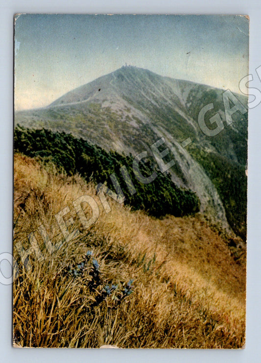 Pohlednice Krkonoše Sněžka Krakonošova zahrádka 1959 (M27784)