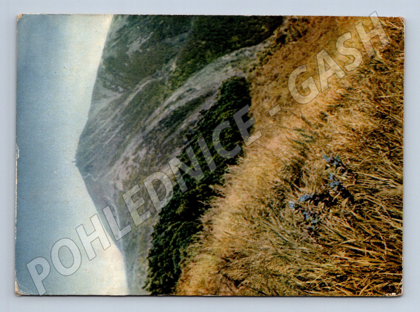 Pohlednice Krkonoše Sněžka Krkonošova zahrádka 1954 (M27790)