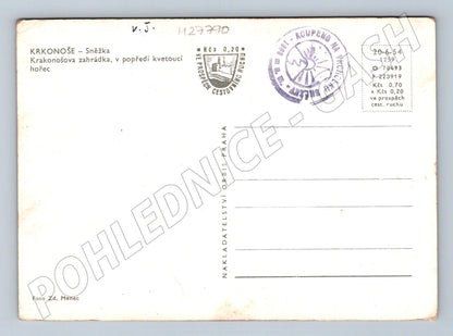 Pohlednice Krkonoše Sněžka Krkonošova zahrádka 1954 (M27790)