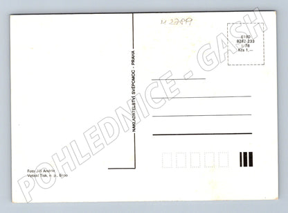 Pohlednice lesní krajina s řekou 1978 (M27819)