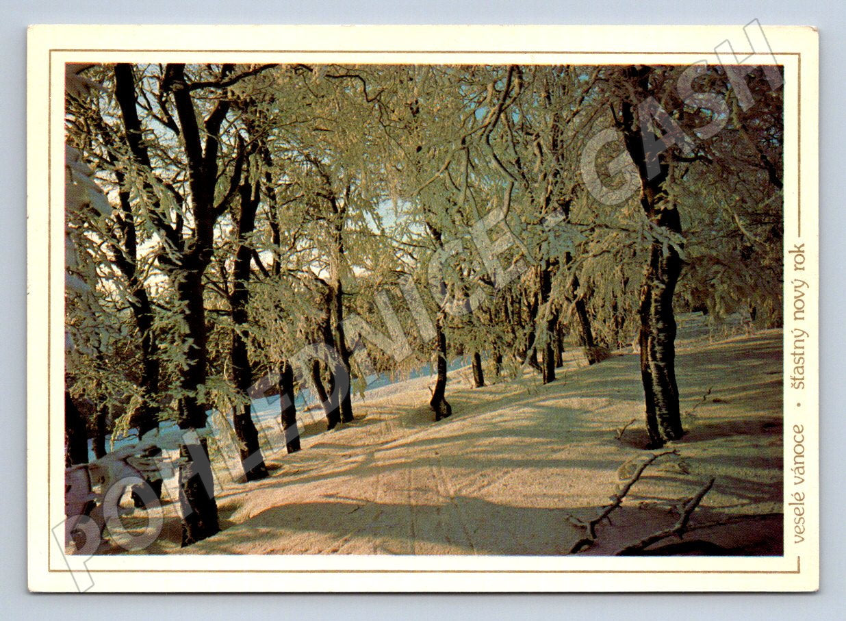 Postcard winter landscape Czechoslovakia 1985 (M2800)