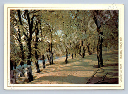 Postcard winter landscape Czechoslovakia 1985 (M2800)