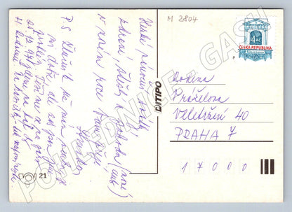 Merry Christmas branch and candles postcard (M2804)