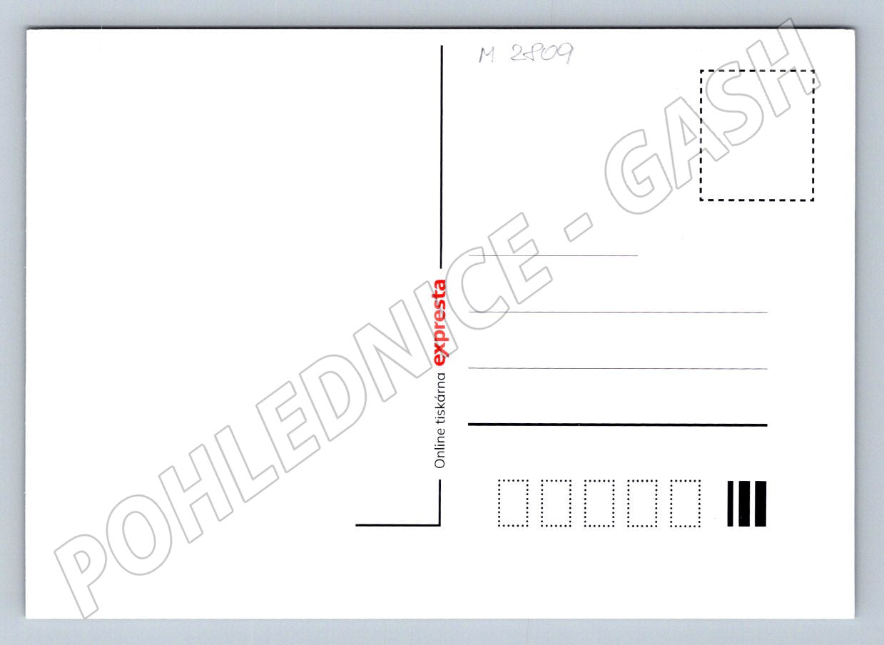 Postcard Merry Christmas 2024 and a Happy New Year (M2809)