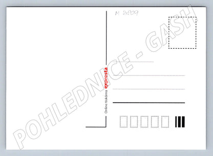 Postcard Merry Christmas 2024 and a Happy New Year (M2809)