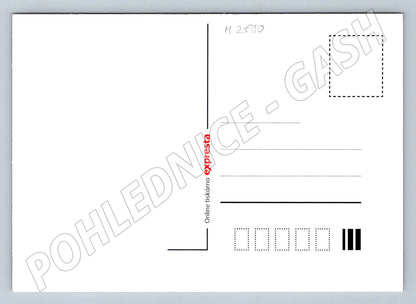 Postcard dogs and gifts Merry Christmas 2024 (M2810)