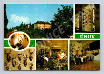 Pohlednice Úsov hrad a lovecké muzeum (M28132)