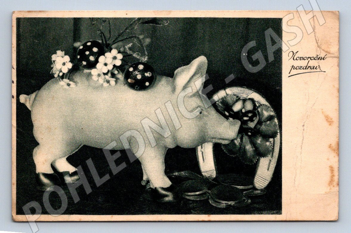 Postcard New Year's piggy bank and horseshoe 1924 (M2815)