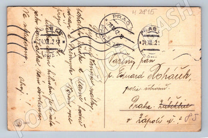 Postcard New Year's piggy bank and horseshoe 1924 (M2815)