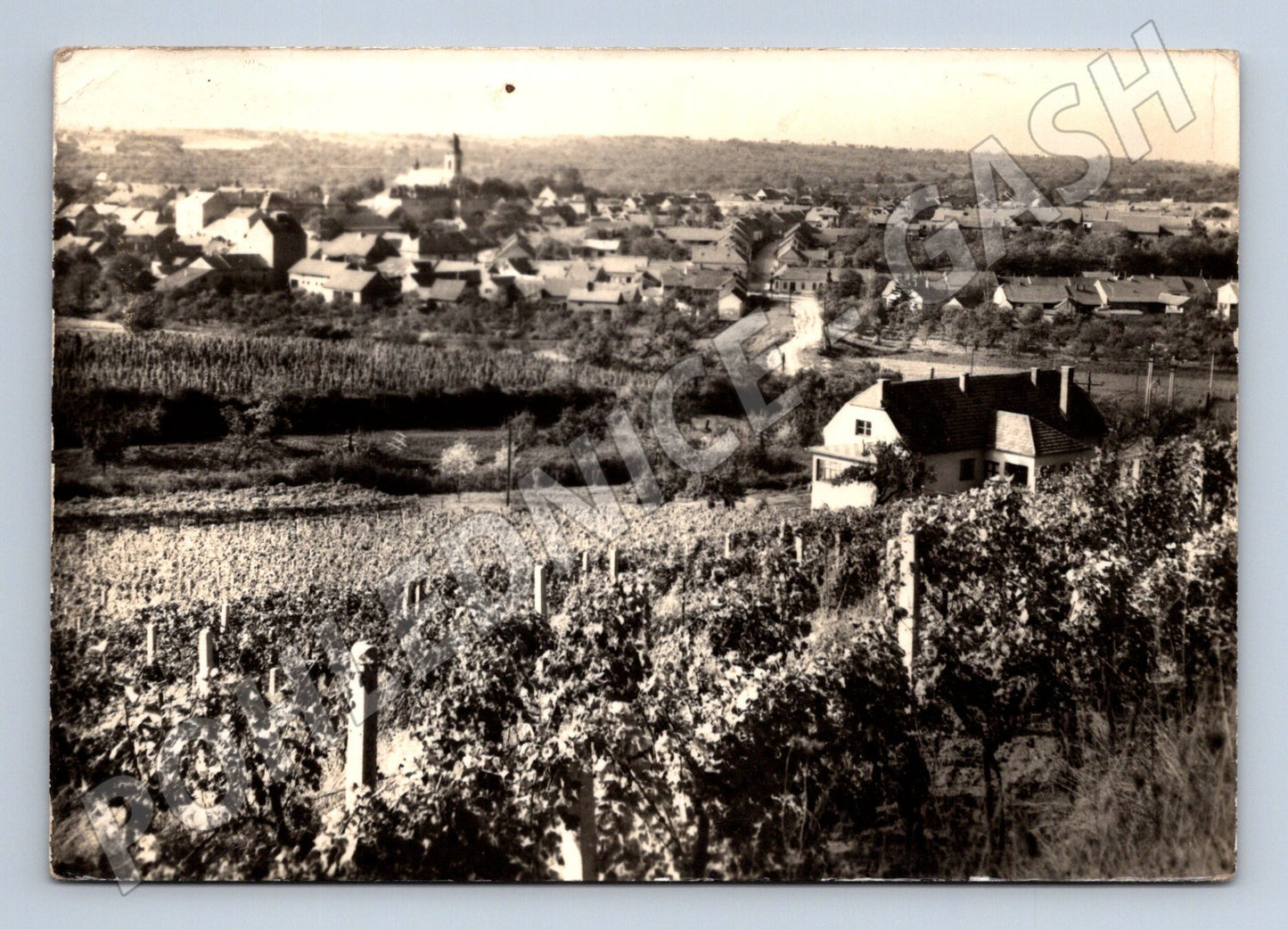 Pohlednice Velké Pavlovice obec vinohrady 1970s (M28175)