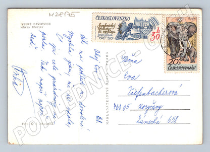 Pohlednice Velké Pavlovice obec vinohrady 1970s (M28175)