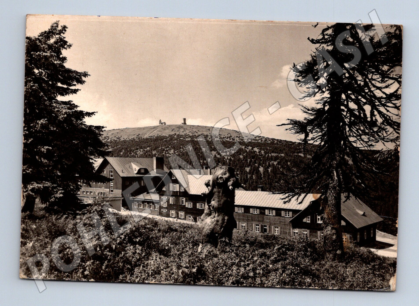 Pohlednice Jeseníky Chata Ovčárna pod Pradědem (M28176)
