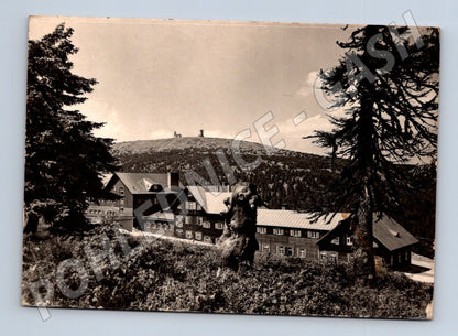 Pohlednice Jeseníky Chata Ovčárna pod Pradědem (M28176)