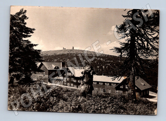 Pohlednice Jeseníky Chata Ovčárna pod Pradědem (M28176)