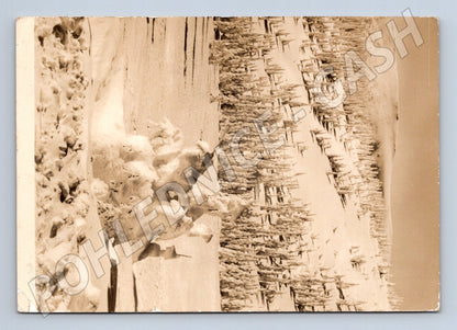 Pohlednice Krkonoše Pod Zlatým návrším 1952 (M28247)