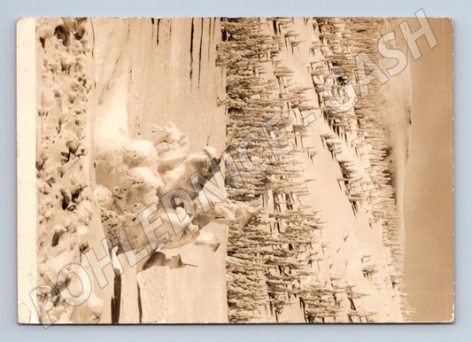 Pohlednice Krkonoše Pod Zlatým návrším 1952 (M28247)