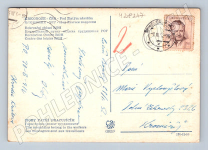 Pohlednice Krkonoše Pod Zlatým návrším 1952 (M28247)