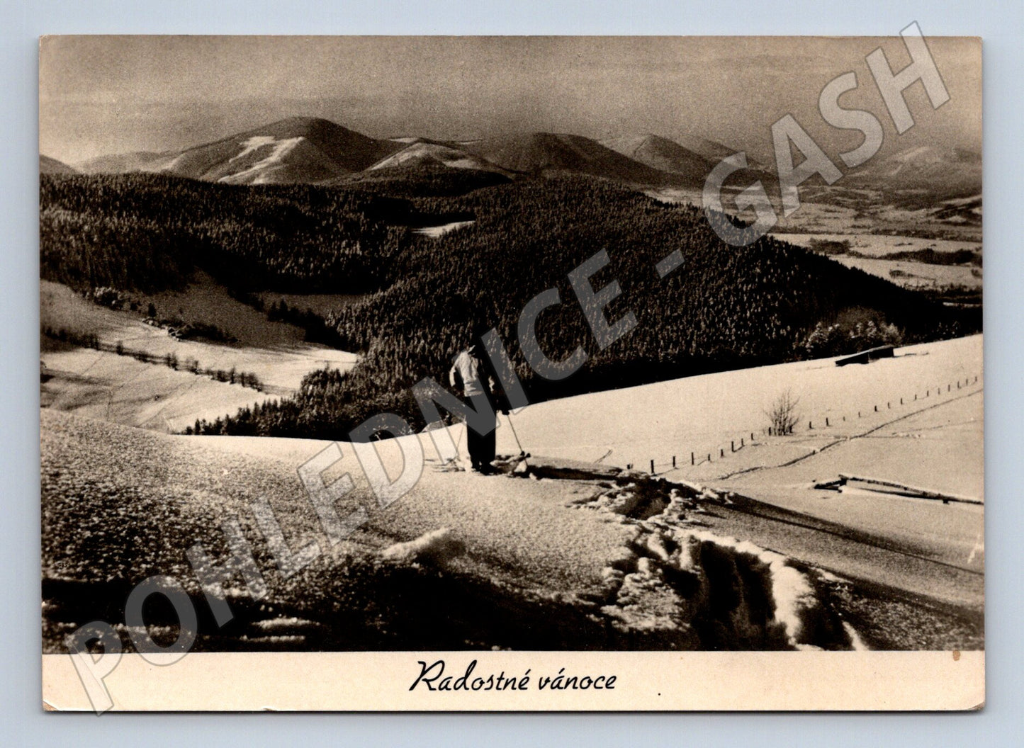 Pohlednice Beskydy lyžař v zasněžených horách 1955 (M28249)