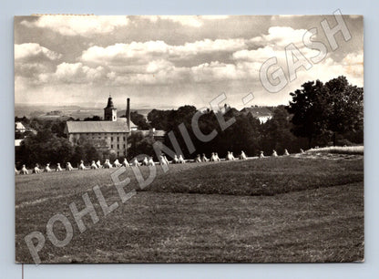 Pohlednice Střelské Hoštice krajina se stohy sena cca 1940 (M28265)