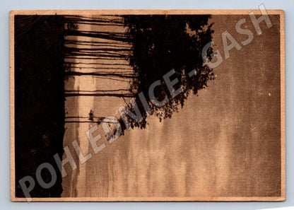 Postcard forest motif Czechoslovakia 1953 (M2827)