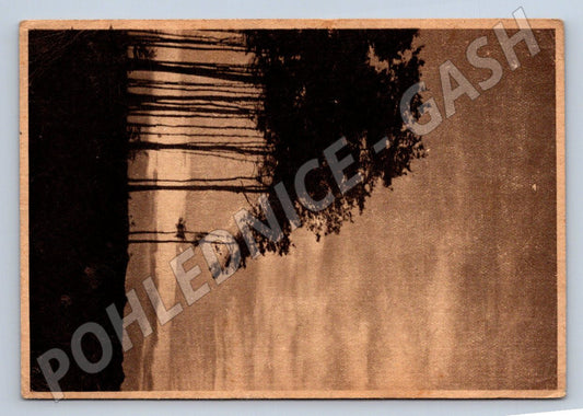 Postcard forest motif Czechoslovakia 1953 (M2827)