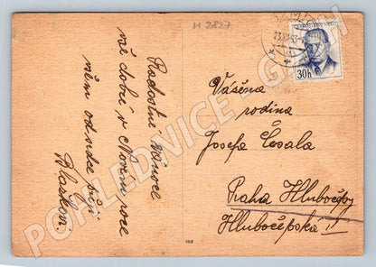 Postcard forest motif Czechoslovakia 1953 (M2827)