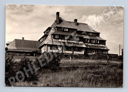 Pohlednice Orlické Hory Chata na Šerlichu 1950 (M28305)