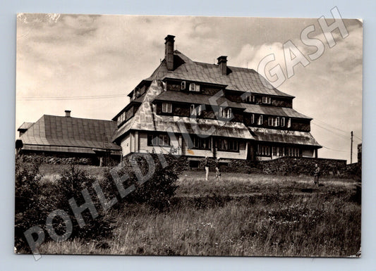 Pohlednice Orlické Hory Chata na Šerlichu 1950 (M28305)