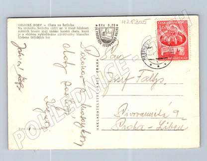 Pohlednice Orlické Hory Chata na Šerlichu 1950 (M28305)