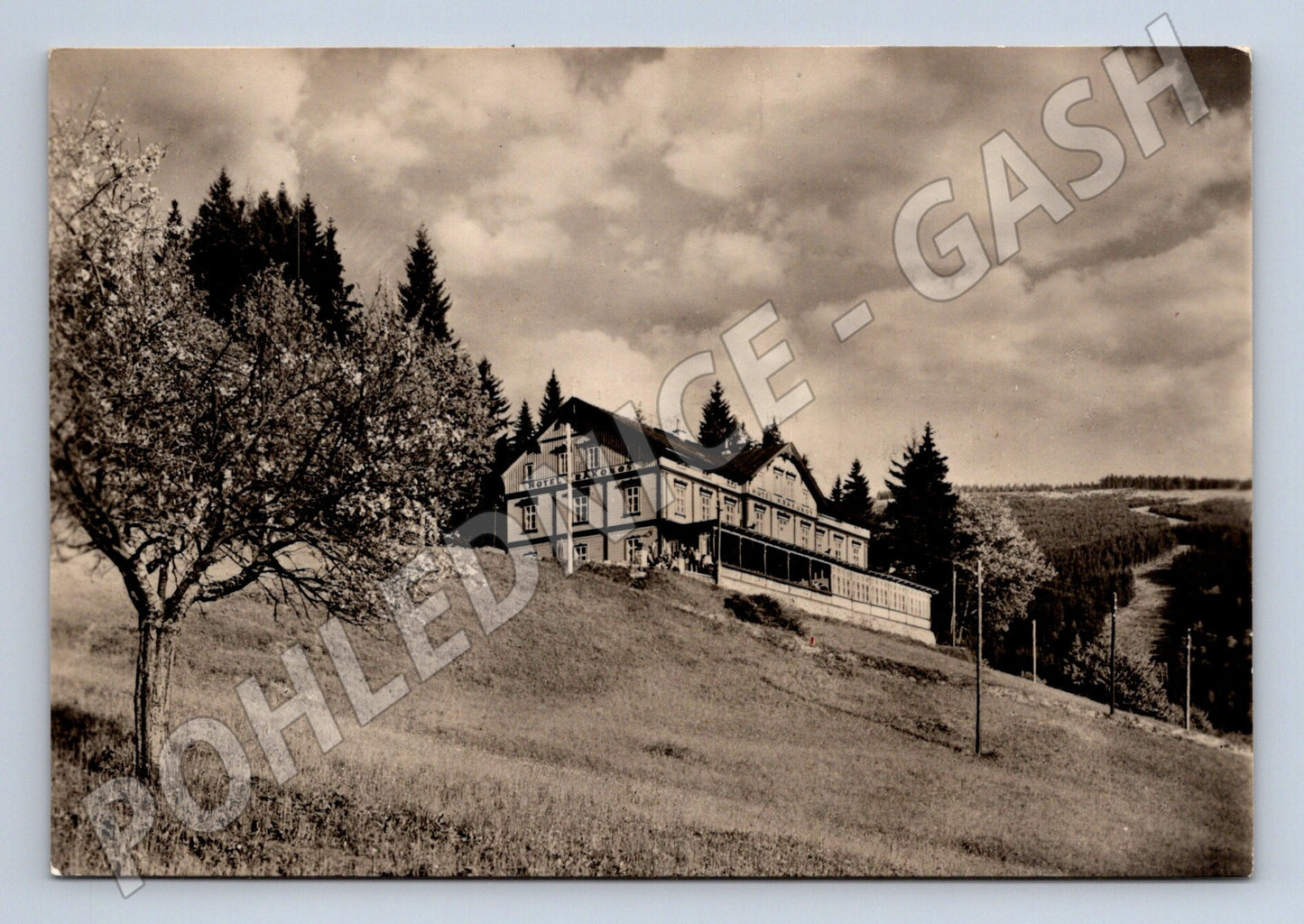Pohlednice Špindlerův Mlýn Hotel Krakonoš (M28308)