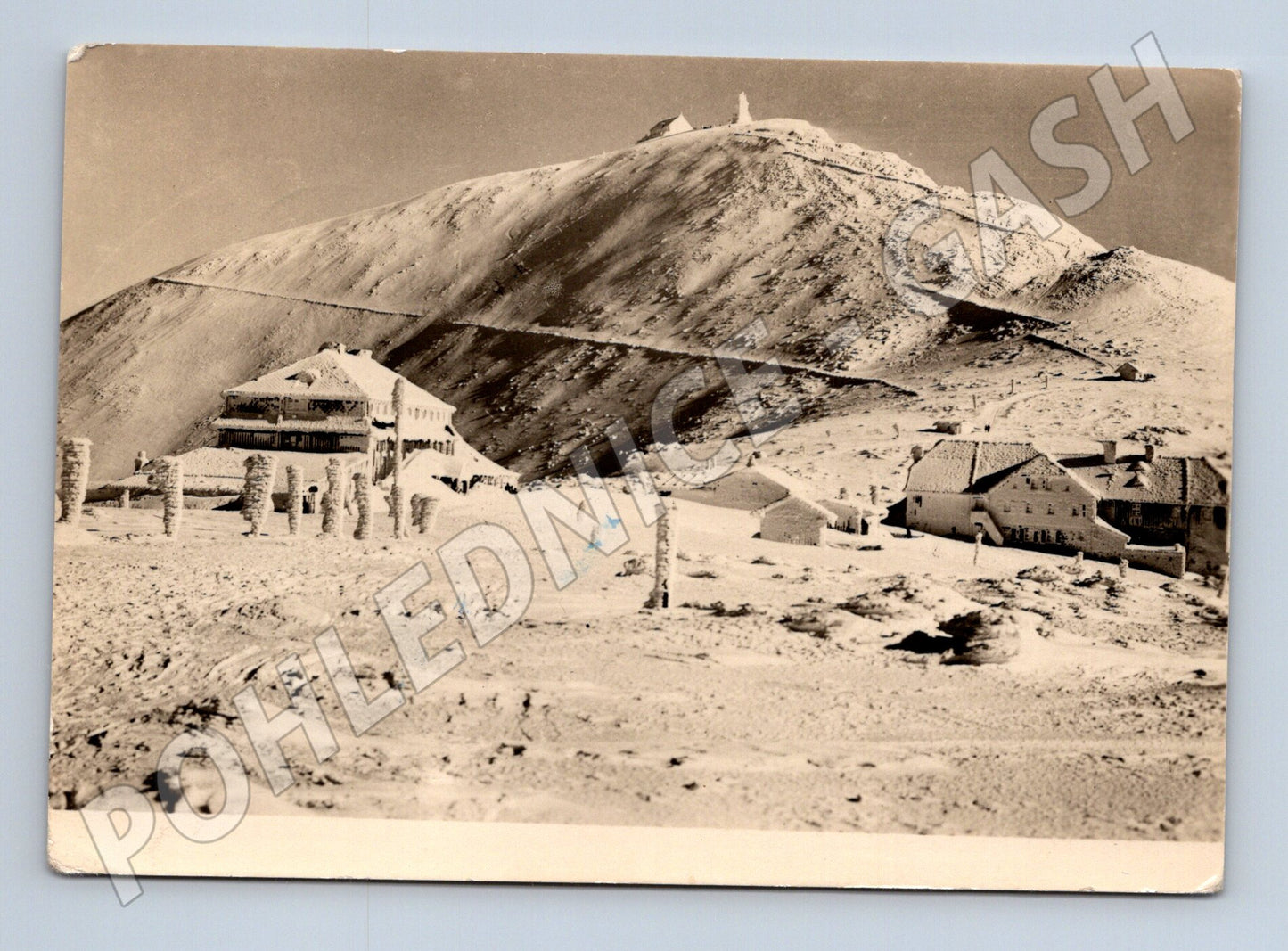 Pohlednice Krkonoše Sněžka zimní scéna 1953 (M28320)