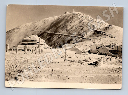 Pohlednice Krkonoše Sněžka zimní scéna 1953 (M28320)