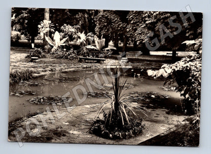Pohlednice Slovensko Bojnice lázeňský park 1957 (M28478)