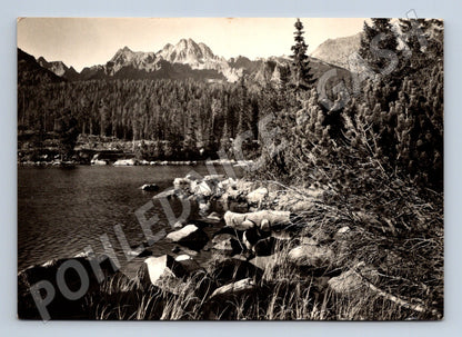 Pohlednice Slovensko Vysoké Tatry Štrbské pleso (M28493)