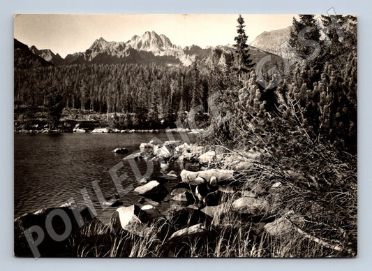 Pohlednice Slovensko Vysoké Tatry Štrbské pleso (M28493)